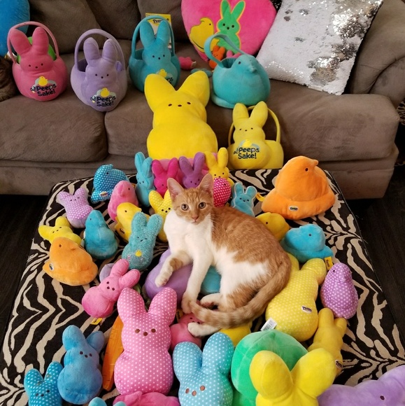 Easter Spring Sale. - Picture 1 of 1